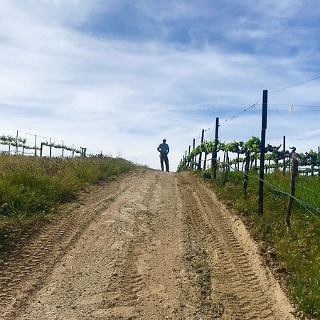 蒂梅丘拉Domaine Chardonnay住宿加早餐旅馆 外观 照片
