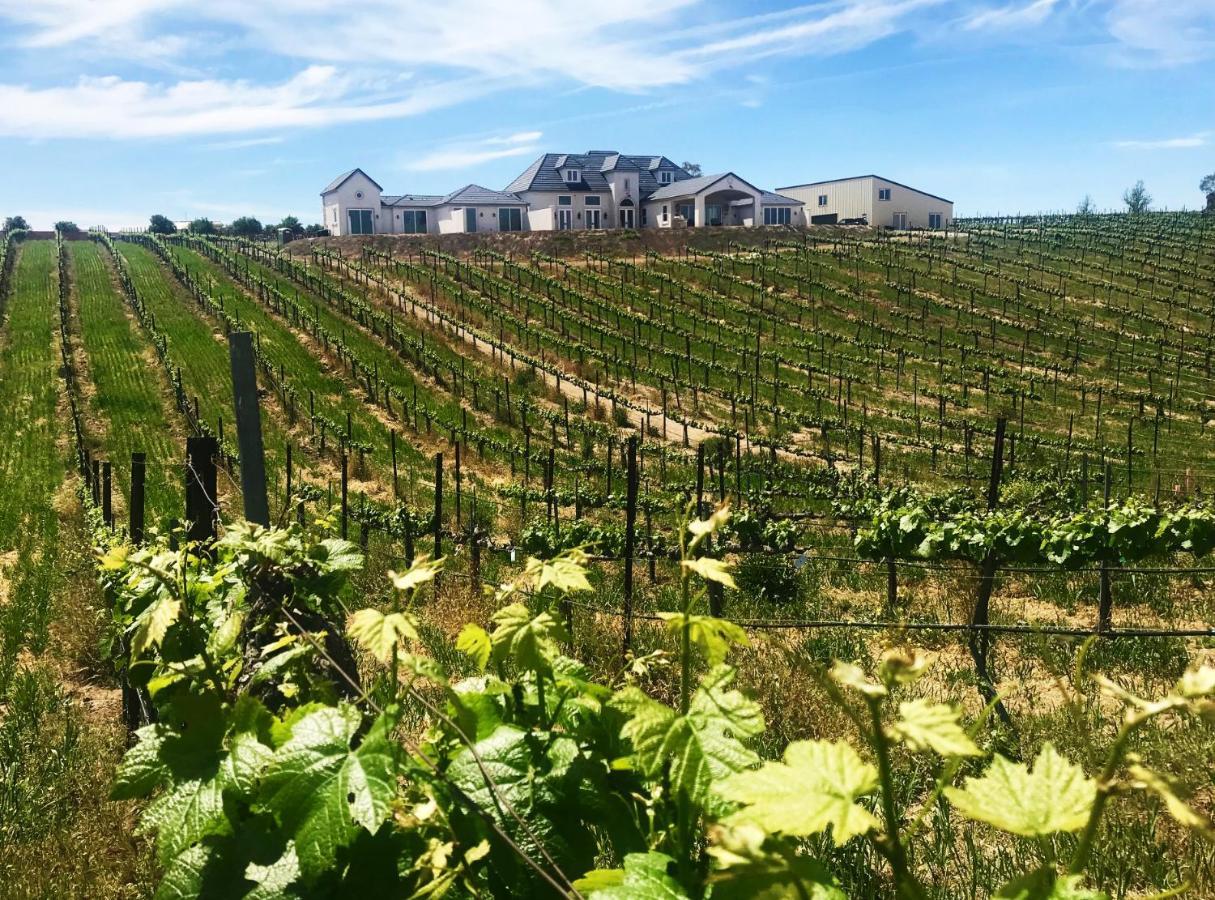 蒂梅丘拉Domaine Chardonnay住宿加早餐旅馆 外观 照片
