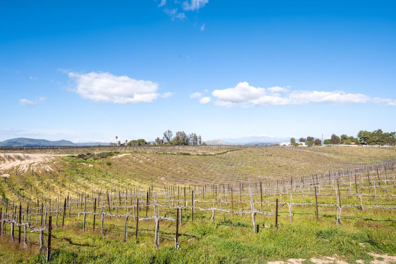 蒂梅丘拉Domaine Chardonnay住宿加早餐旅馆 外观 照片