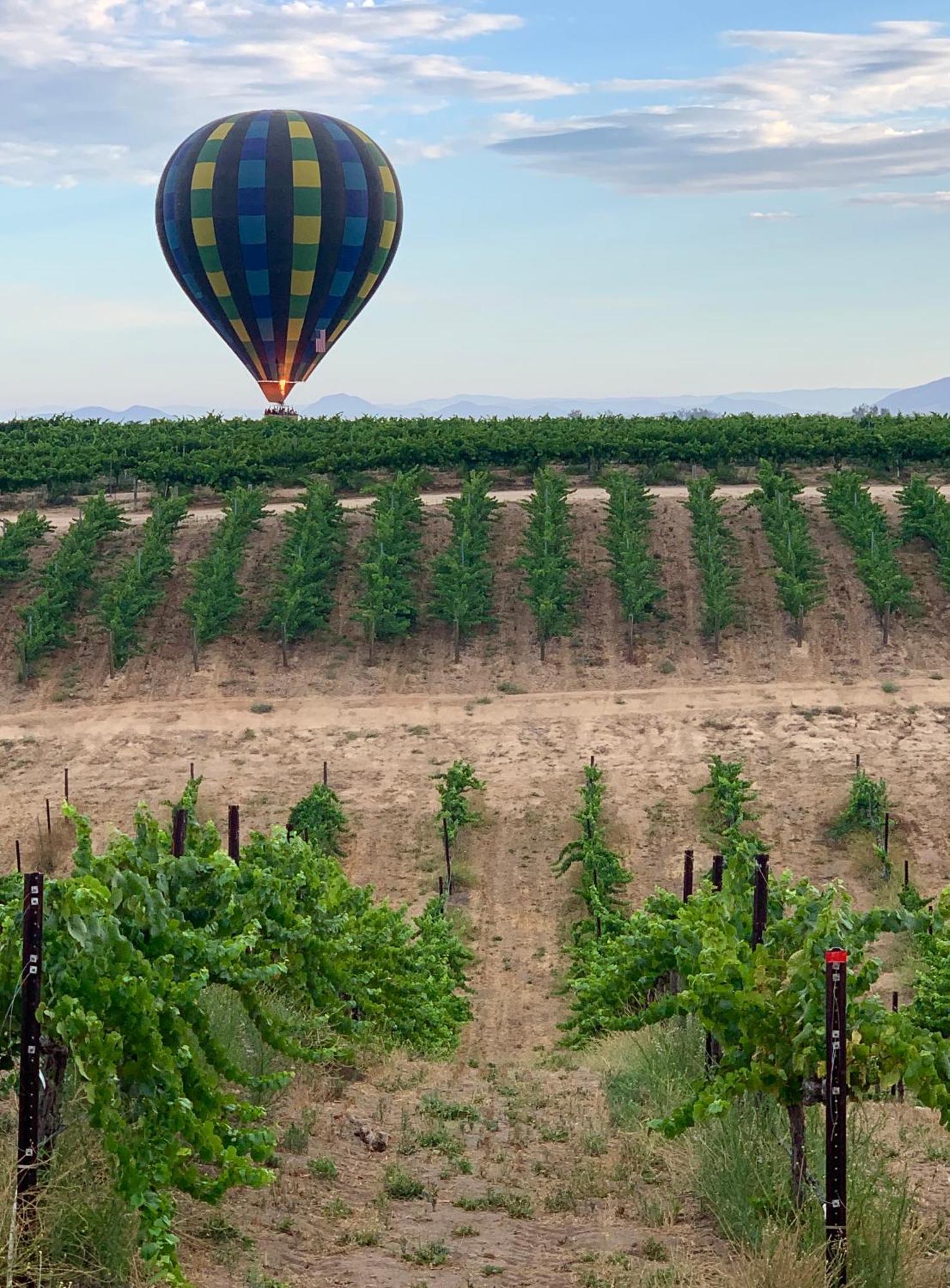 蒂梅丘拉Domaine Chardonnay住宿加早餐旅馆 外观 照片