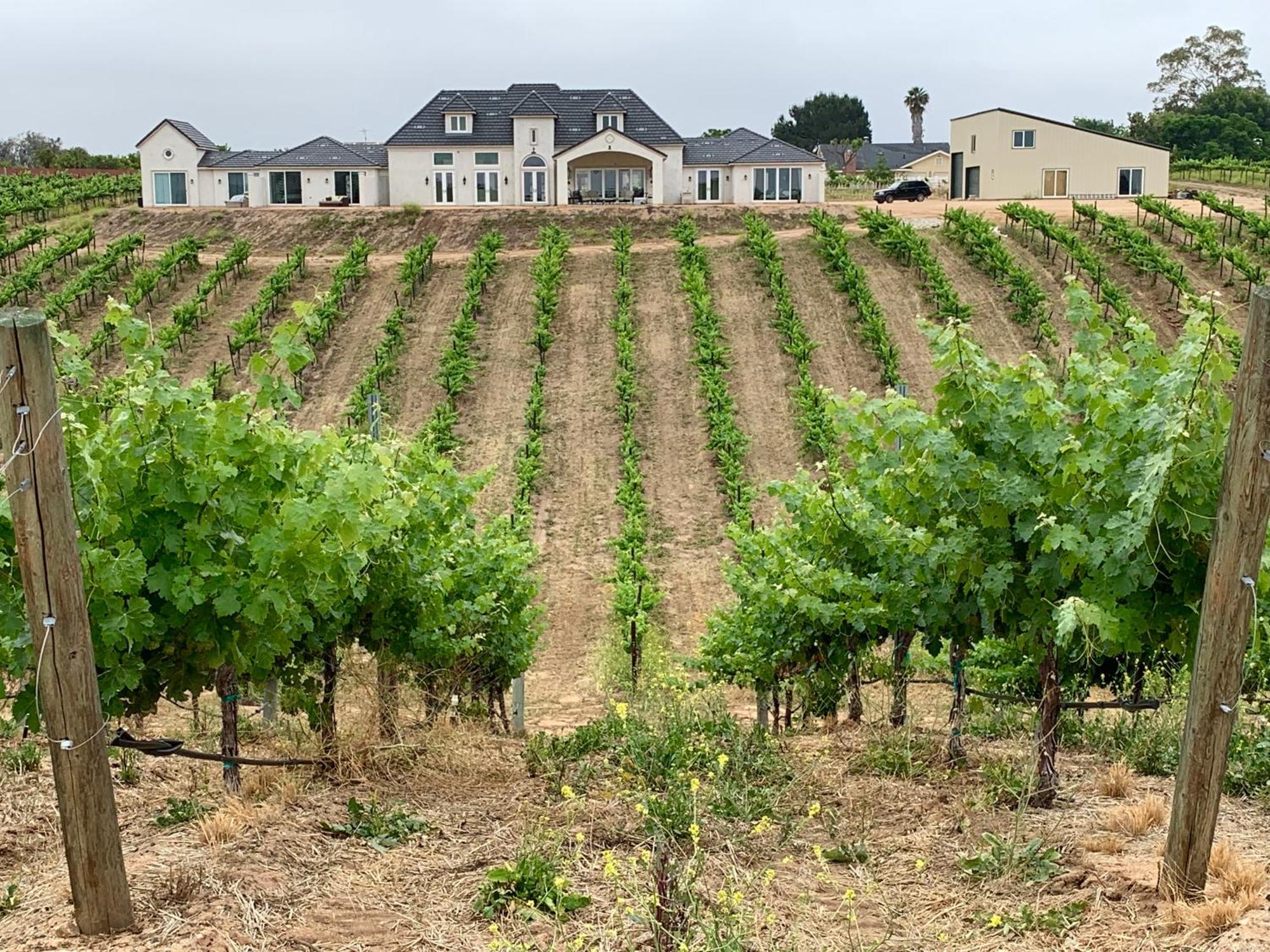 蒂梅丘拉Domaine Chardonnay住宿加早餐旅馆 外观 照片